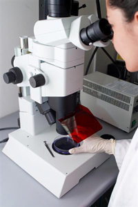 microscope servicing, microscope sales and microscope repairs in the UK