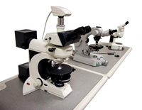 microscope servicing, microscope sales and microscope repairs in the UK